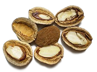 (Irvingia Gabonensis)